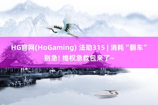 HG官网(HoGaming) 法助315 | 消耗“翻车”别急! 维权急救包来了~