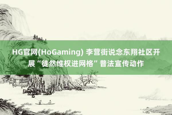HG官网(HoGaming) 李营街说念东翔社区开展“徒然维权进网格”普法宣传动作