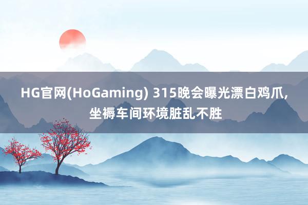 HG官网(HoGaming) 315晚会曝光漂白鸡爪， 坐褥车间环境脏乱不胜