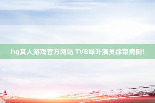 hg真人游戏官方网站 TVB绿叶演员徐荣病倒!