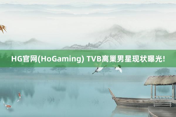 HG官网(HoGaming) TVB离巢男星现状曝光!
