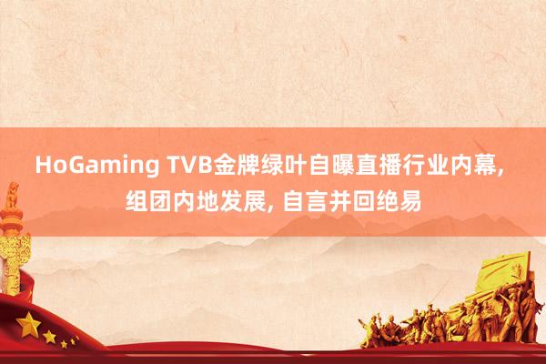 HoGaming TVB金牌绿叶自曝直播行业内幕， 组团内地发展， 自言并回绝易