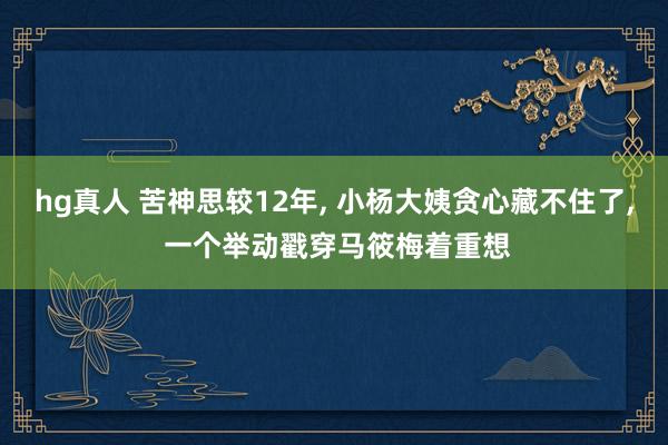 hg真人 苦神思较12年， 小杨大姨贪心藏不住了， 一个举动戳穿马筱梅着重想