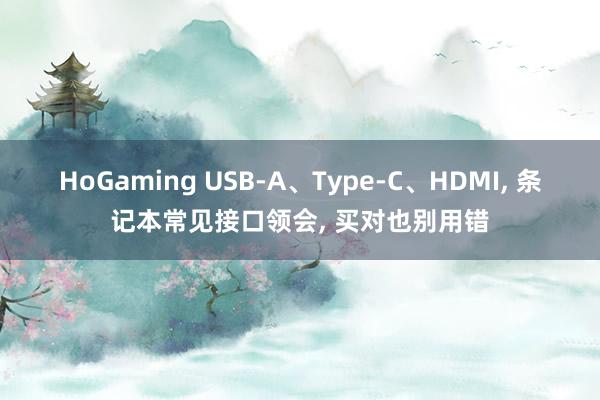 HoGaming USB-A、Type-C、HDMI， 条记本常见接口领会， 买对也别用错