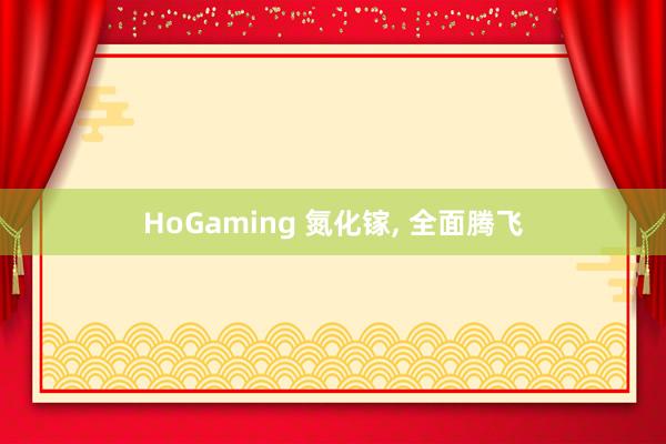 HoGaming 氮化镓， 全面腾飞