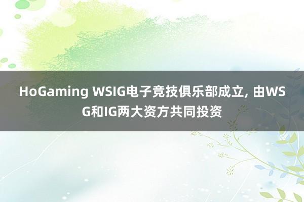 HoGaming WSIG电子竞技俱乐部成立, 由WSG和IG两大资方共同投资