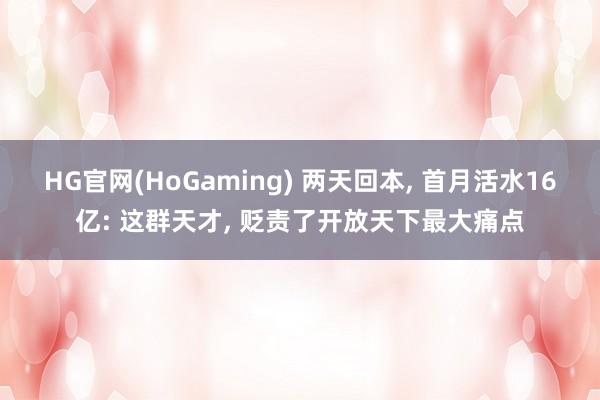 HG官网(HoGaming) 两天回本， 首月活水16亿: 这群天才， 贬责了开放天下最大痛点
