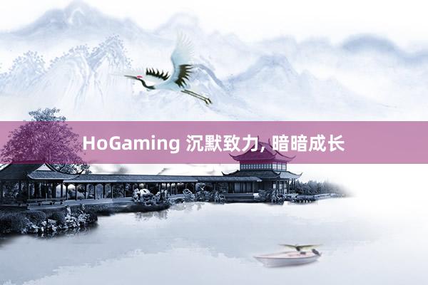 HoGaming 沉默致力, 暗暗成长