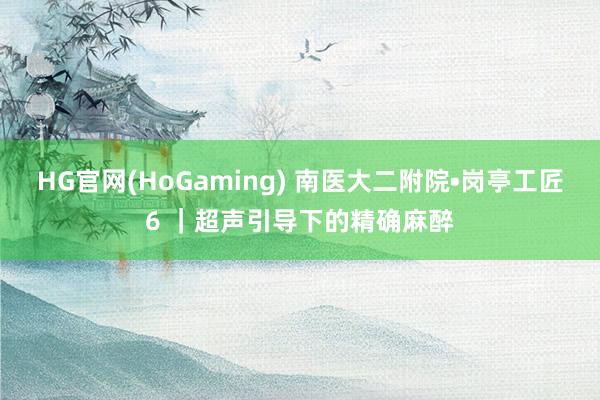 HG官网(HoGaming) 南医大二附院•岗亭工匠6 ｜超声引导下的精确麻醉
