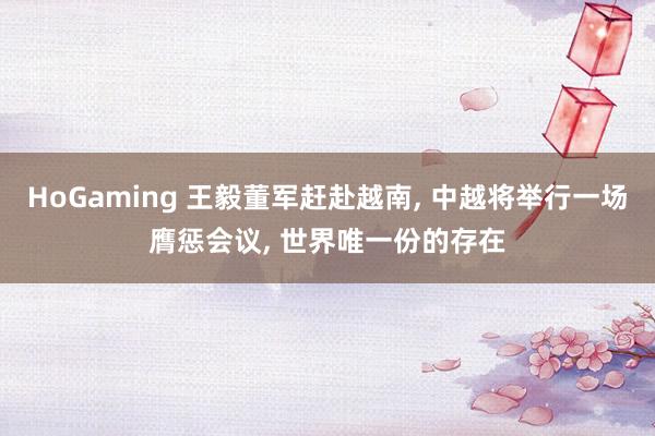 HoGaming 王毅董军赶赴越南, 中越将举行一场膺惩会议, 世界唯一份的存在