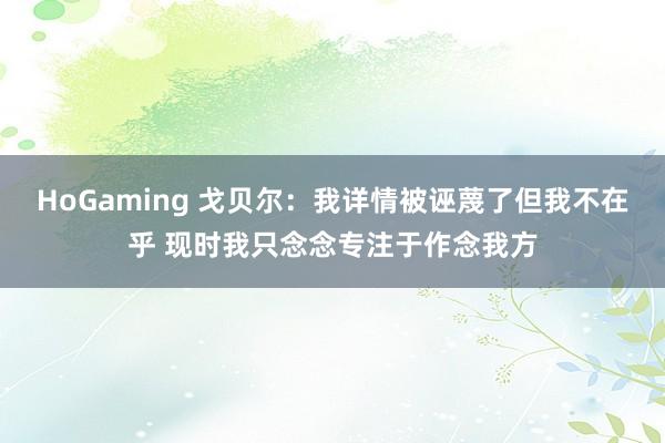 HoGaming 戈贝尔：我详情被诬蔑了但我不在乎 现时我只念念专注于作念我方