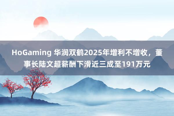 HoGaming 华润双鹤2025年增利不增收，董事长陆文超薪酬下滑近三成至191万元