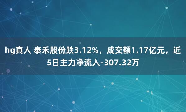hg真人 泰禾股份跌3.12%，成交额1.17亿元，近5日主力净流入-307.32万