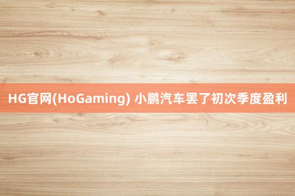 HG官网(HoGaming) 小鹏汽车罢了初次季度盈利