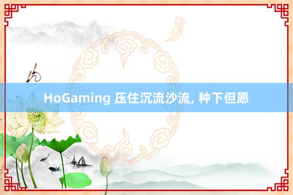 HoGaming 压住沉流沙流, 种下但愿