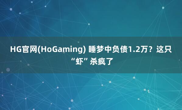 HG官网(HoGaming) 睡梦中负债1.2万？这只“虾”杀疯了