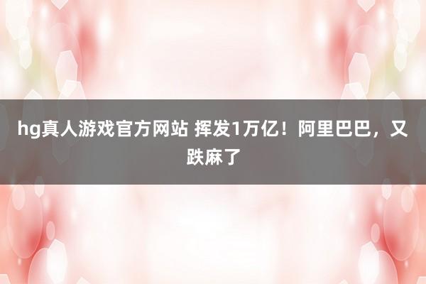 hg真人游戏官方网站 挥发1万亿！阿里巴巴，又跌麻了