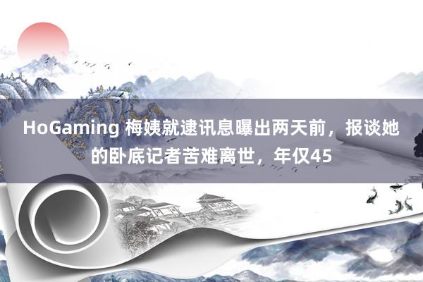 HoGaming 梅姨就逮讯息曝出两天前，报谈她的卧底记者苦难离世，年仅45