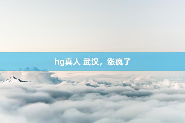 hg真人 武汉，涨疯了