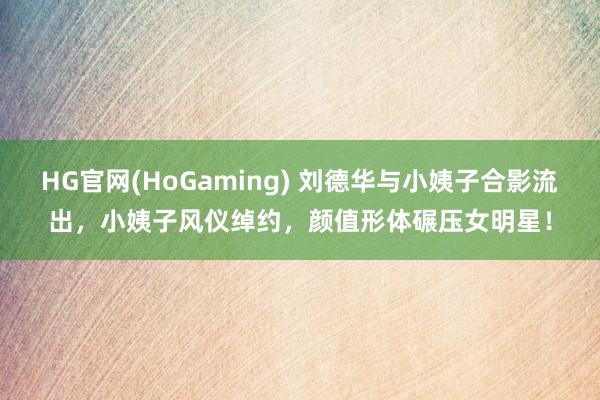 HG官网(HoGaming) 刘德华与小姨子合影流出，小姨子风仪绰约，颜值形体碾压女明星！