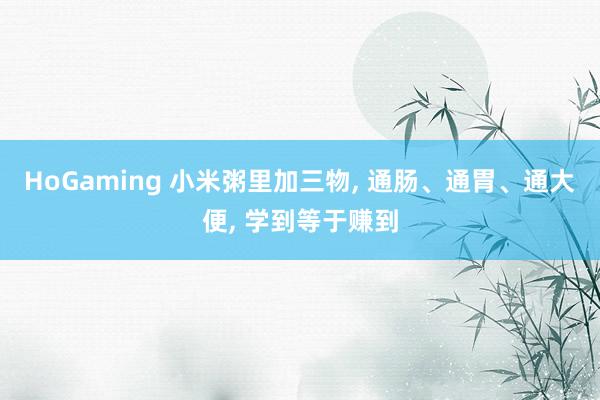 HoGaming 小米粥里加三物, 通肠、通胃、通大便, 学到等于赚到