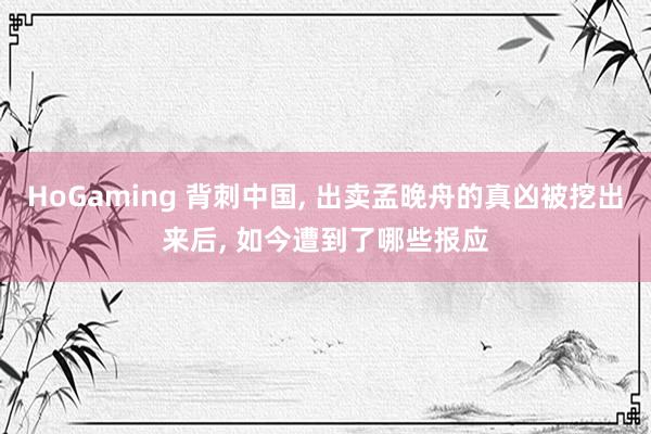 HoGaming 背刺中国, 出卖孟晚舟的真凶被挖出来后, 如今遭到了哪些报应