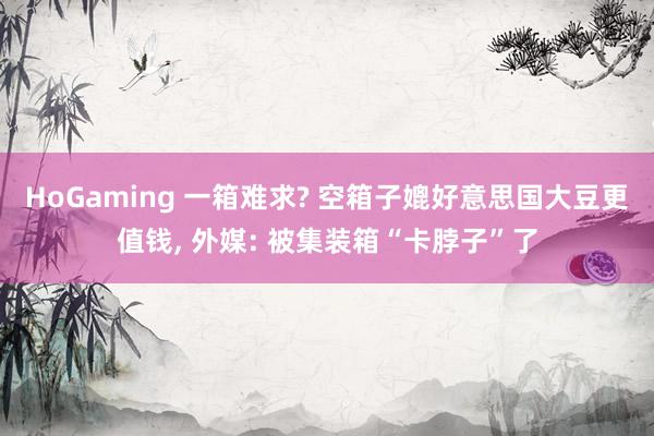 HoGaming 一箱难求? 空箱子媲好意思国大豆更值钱, 外媒: 被集装箱“卡脖子”了