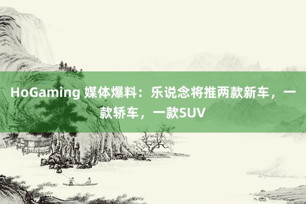 HoGaming 媒体爆料：乐说念将推两款新车，一款轿车，一款SUV