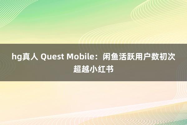 hg真人 Quest Mobile：闲鱼活跃用户数初次超越小红书