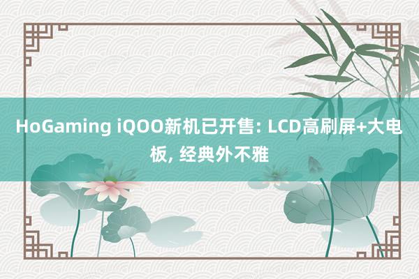 HoGaming iQOO新机已开售: LCD高刷屏+大电板, 经典外不雅