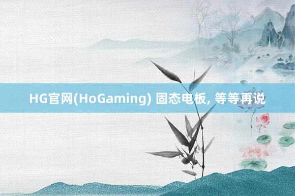 HG官网(HoGaming) 固态电板, 等等再说