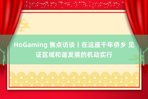 HoGaming 焦点访谈丨在这座千年侨乡 见证区域和谐发展的机动实行