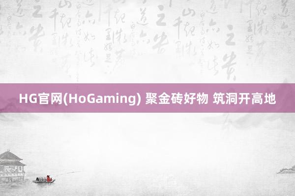 HG官网(HoGaming) 聚金砖好物 筑洞开高地