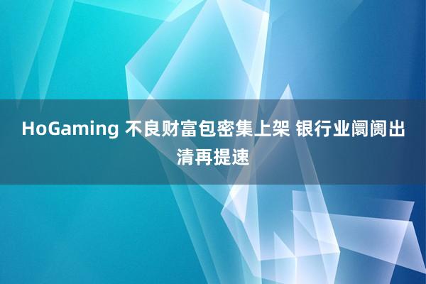 HoGaming 不良财富包密集上架 银行业阛阓出清再提速