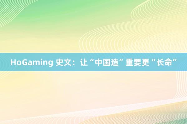 HoGaming 史文：让“中国造”重要更“长命”