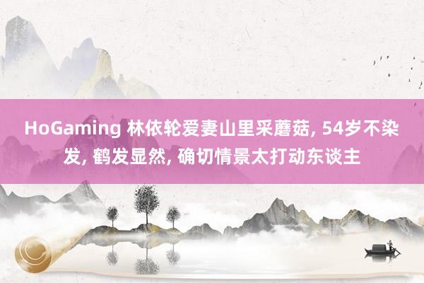 HoGaming 林依轮爱妻山里采蘑菇, 54岁不染发, 鹤发显然, 确切情景太打动东谈主