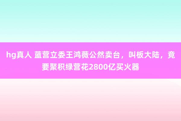 hg真人 蓝营立委王鸿薇公然卖台，叫板大陆，竟要聚积绿营花2800亿买火器