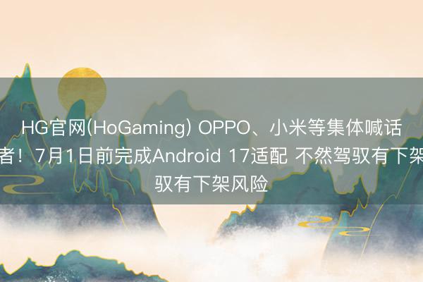 HG官网(HoGaming) OPPO、小米等集体喊话开发者！7月1日前完成Android 17适配 不然驾驭有下架风险