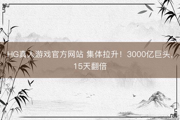 HG真人游戏官方网站 集体拉升！3000亿巨头，15天翻倍