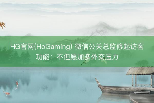 HG官网(HoGaming) 微信公关总监修起访客功能:不但愿加多外交压力
