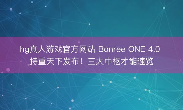 hg真人游戏官方网站 Bonree ONE 4.0 持重天下发布！三大中枢才能速览
