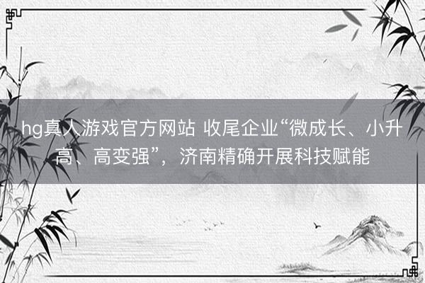 hg真人游戏官方网站 收尾企业“微成长、小升高、高变强”，济南精确开展科技赋能