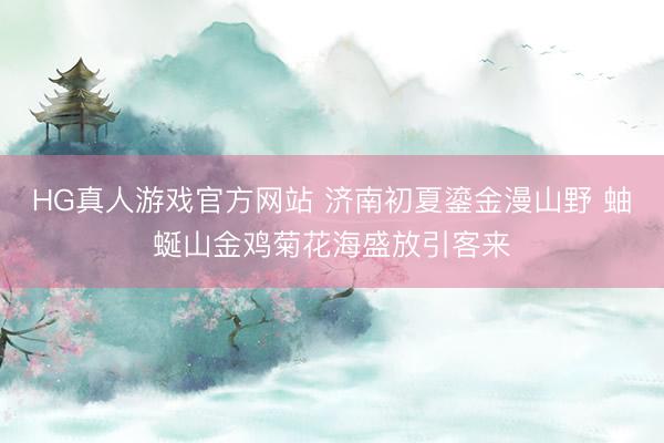 HG真人游戏官方网站 济南初夏鎏金漫山野 蚰蜒山金鸡菊花海盛放引客来