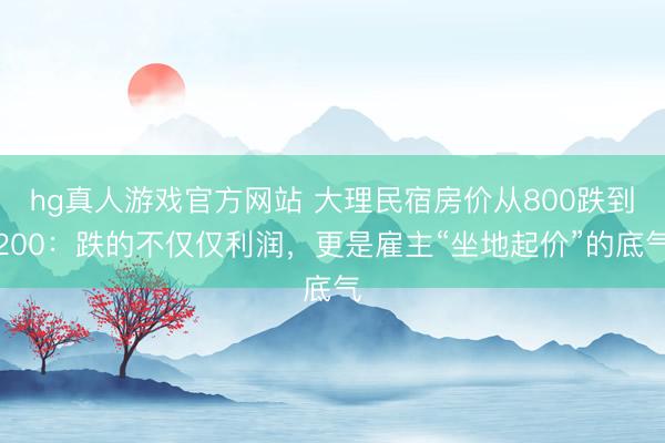 hg真人游戏官方网站 大理民宿房价从800跌到200：跌的不仅仅利润，更是雇主“坐地起价”的底气