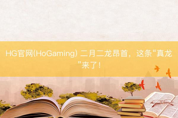 HG官网(HoGaming) 二月二龙昂首，这条“真龙”来了！