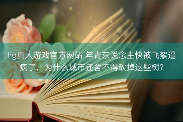 hg真人游戏官方网站 年青东说念主快被飞絮逼疯了，为什么城市还舍不得砍掉这些树？