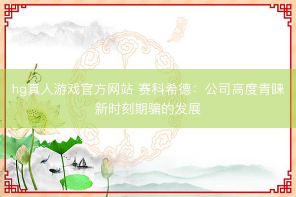 hg真人游戏官方网站 赛科希德:公司高度青睐新时刻期骗的发展