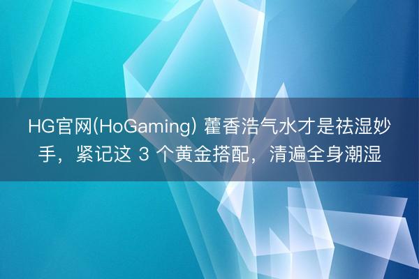 HG官网(HoGaming) 藿香浩气水才是祛湿妙手，紧记这 3 个黄金搭配，清遍全身潮湿