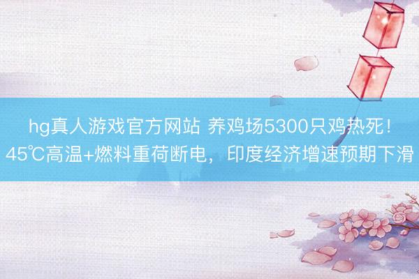 hg真人游戏官方网站 养鸡场5300只鸡热死!45℃高温+燃料重荷断电,印度经济增速预期下滑
