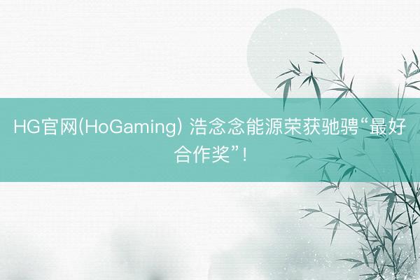 HG官网(HoGaming) 浩念念能源荣获驰骋“最好合作奖”！